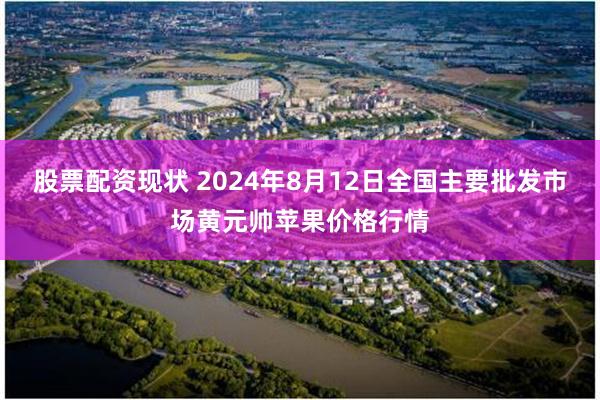 股票配资现状 2024年8月12日全国主要批发市场黄元帅苹果价格行情