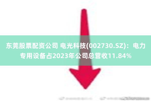 东莞股票配资公司 电光科技(002730.SZ)：电力专用设备占2023年公司总营收11.84%