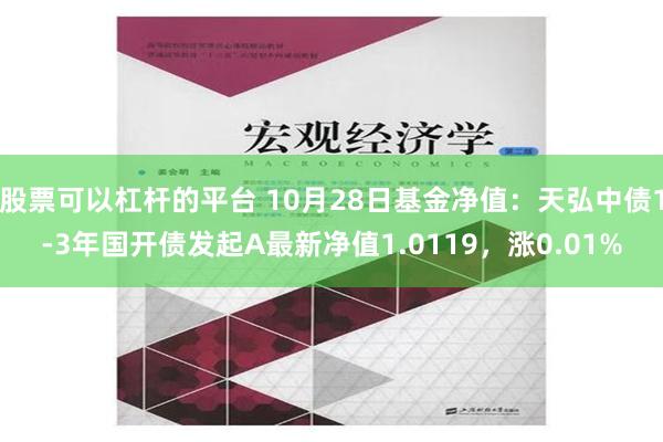 股票可以杠杆的平台 10月28日基金净值：天弘中债1-3年国开债发起A最新净值1.0119，涨0.01%