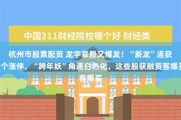 杭州市股票配资 龙字辈股又爆发！“新龙”连获3个涨停，“跨年妖”角逐白热化，这些股获融资客爆买