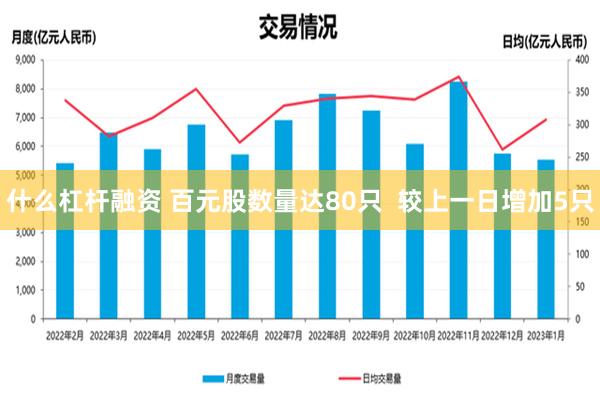 什么杠杆融资 百元股数量达80只  较上一日增加5只