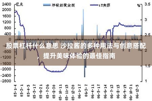 股票杠杆什么意思 沙拉酱的多种用法与创意搭配，提升美味体验的最佳指南